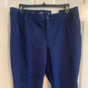 St. John Bay pants